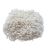 Arroz Glutinoso x 5 kg.