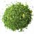 espinaca-x-1-kg.jpg