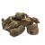Genciana en Raiz x 1 kg.