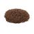 Semilla de Lino x 1 kg.
