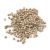 pimienta-blanca-en-grano-x-1-kg.jpg
