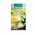te-dilmah-green-jasmine.jpg