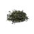 te-jazmin-x-1-kg.jpg
